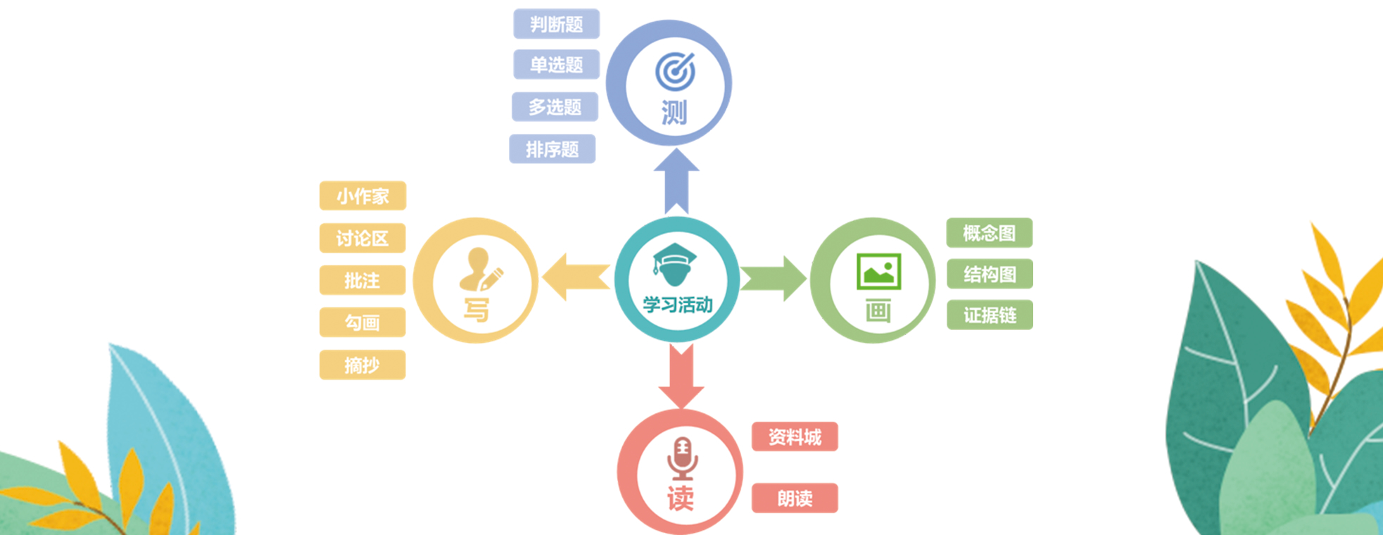 学习活动：写、画、读、测